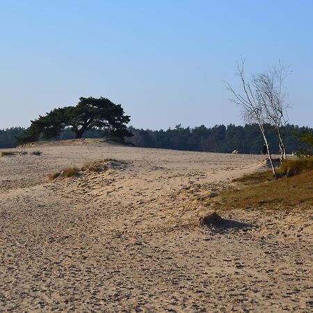Huisje Weideblik Doornspijk Esterno foto